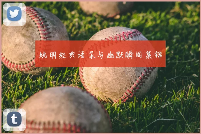 姚明经典语录与幽默瞬间集锦